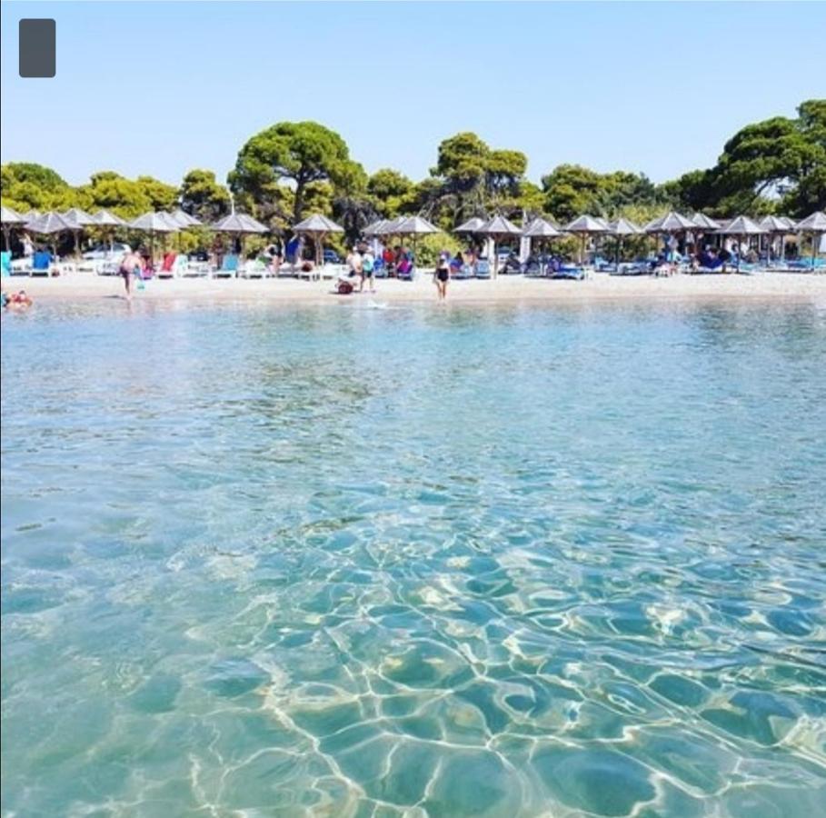 Athens Villa Artemis Pool Sea Airport Exteriör bild